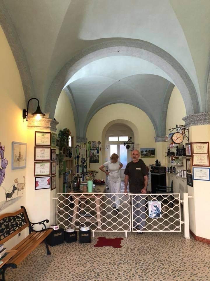 Dog In Toelettatura Di Panattoni Cinzia - Foto 3