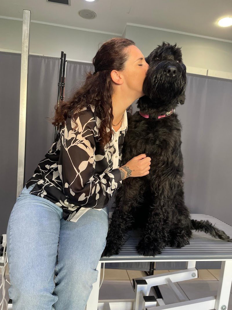 DOG INN ART - Toelettatura per cani e gatti - Educazione Cinofila - Scuola di toelettatura - Formazione Cinofila - Foto 1