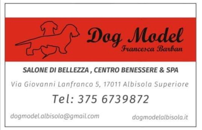 DOG MODEL di Francesca Barban - Foto 2