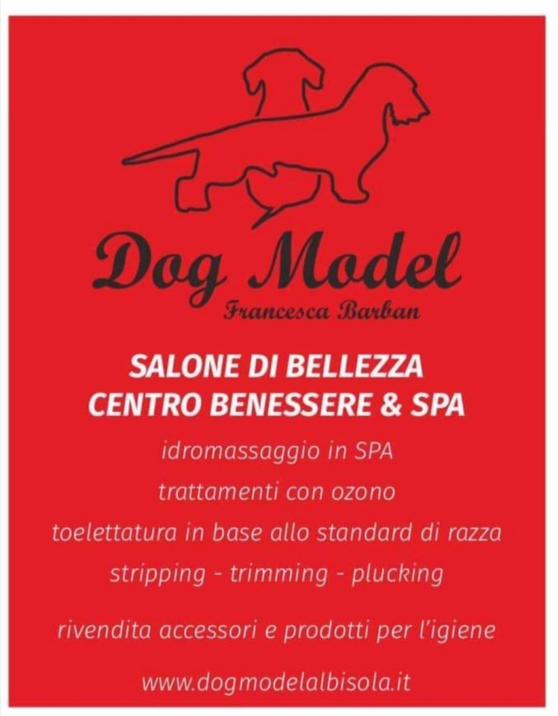 DOG MODEL di Francesca Barban - Foto 3