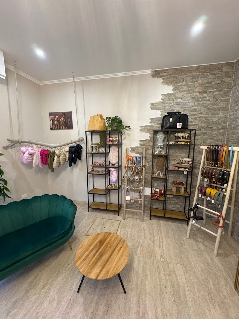 DOG MODEL TOELETTATURA, SPA & BOUTIQUE - Foto 1