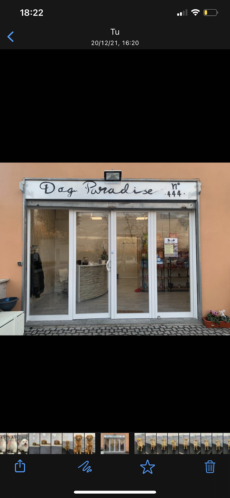 Dog Paradise Fiumicino - Foto 1