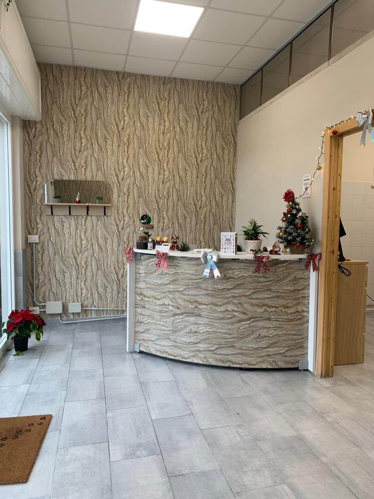 Dog Paradise Fiumicino - Foto 3