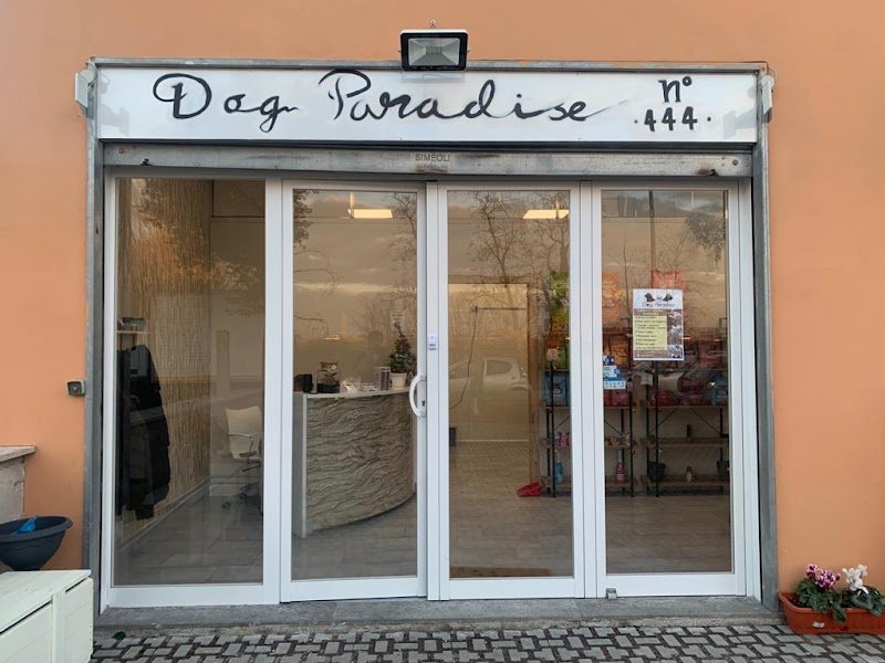 Dog Paradise Fiumicino - Foto 5