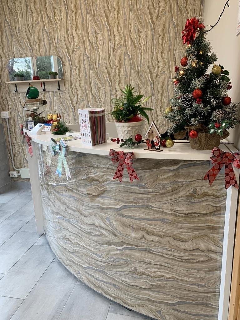 Dog Paradise Fiumicino - Foto 6