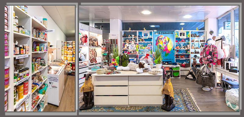 Dog Paradise Lugano - Foto 1