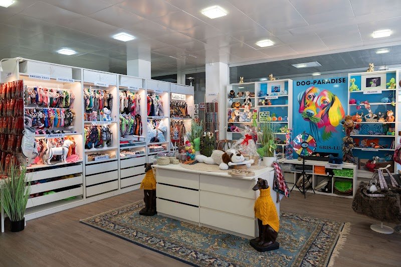 Dog Paradise Lugano - Foto 3