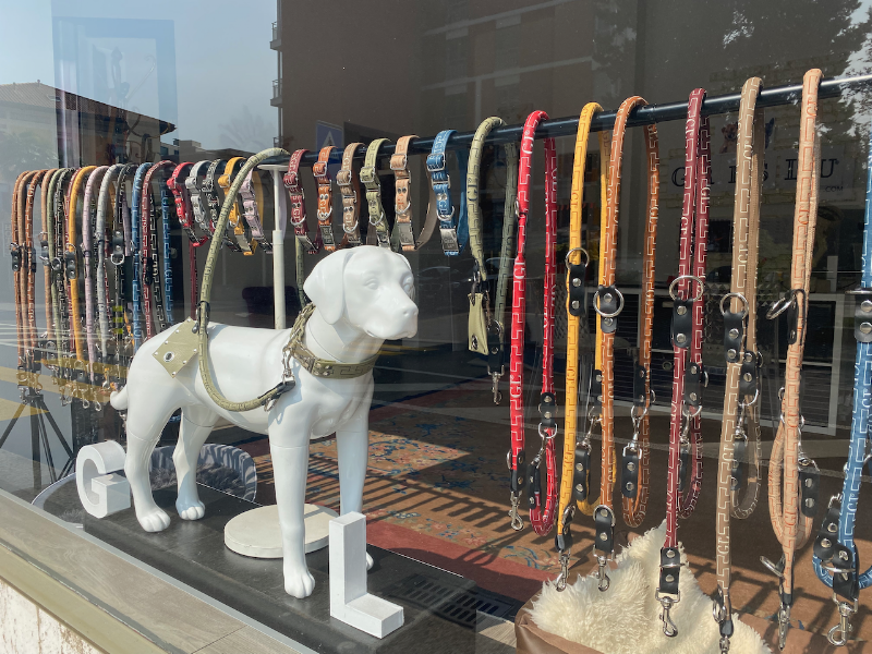 Dog Paradise Lugano - Foto 4