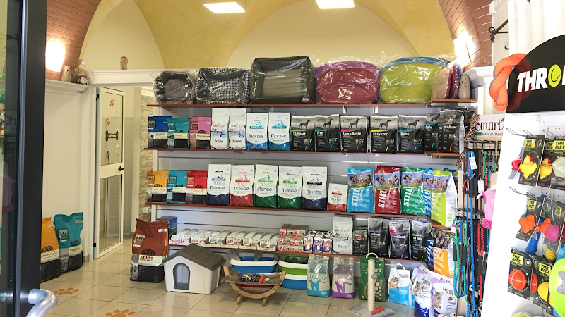 Dog Paradise - Foto 1