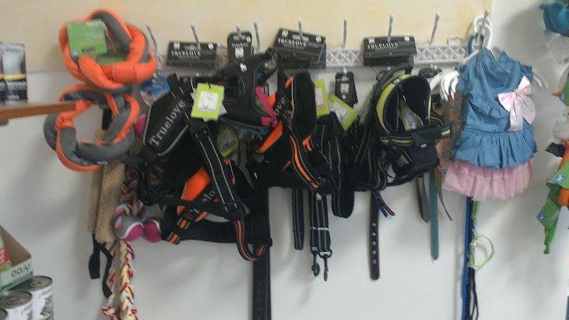 Dog Paradise - Foto 5