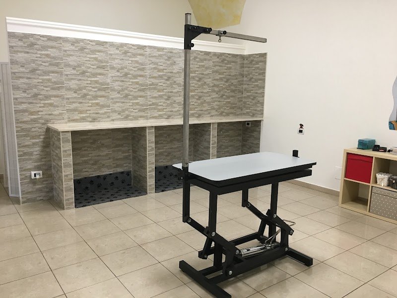 Dog Paradise - Foto 6