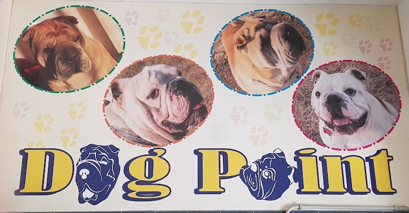 Dog Point Di Bruni Francesca - Foto 1