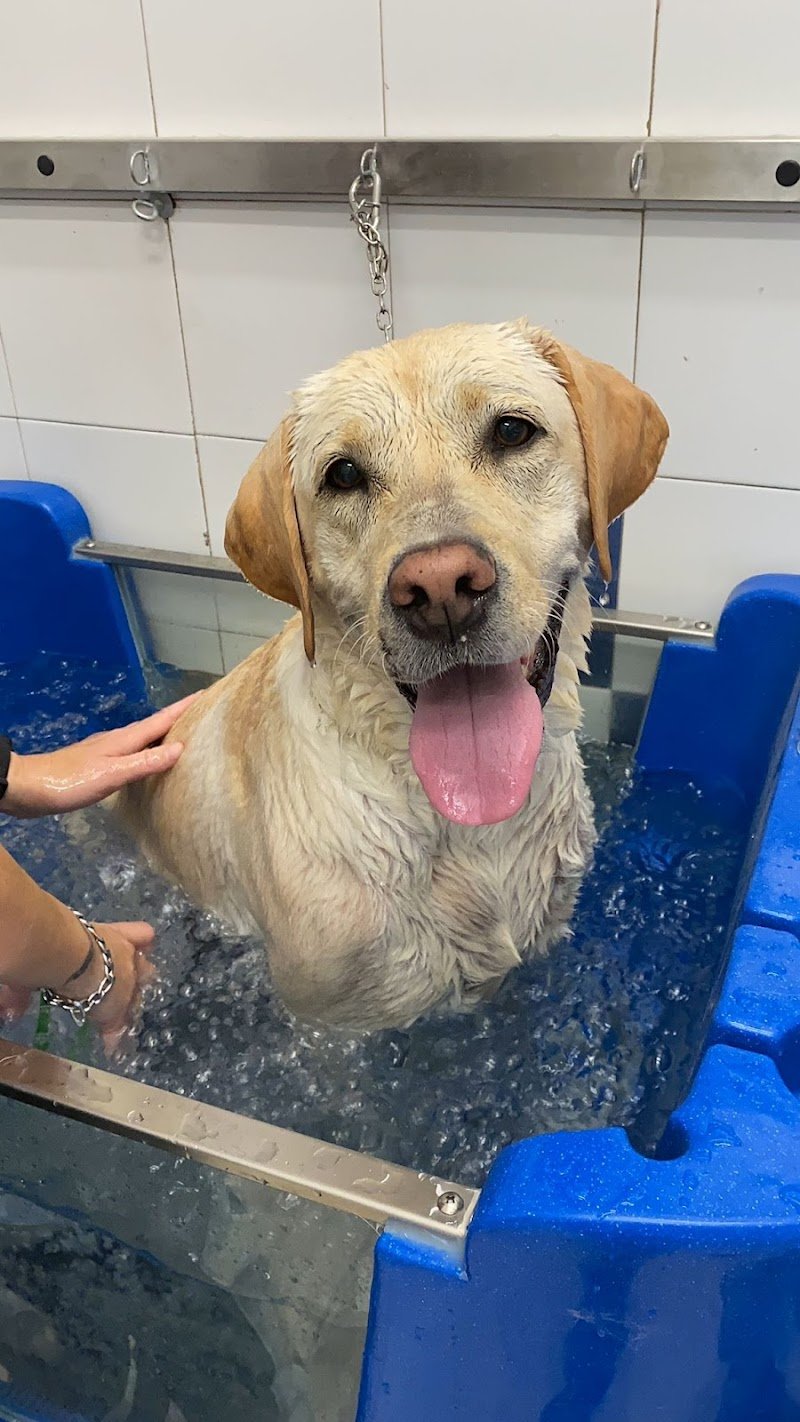 Dog Point Di Bruni Francesca - Foto 4