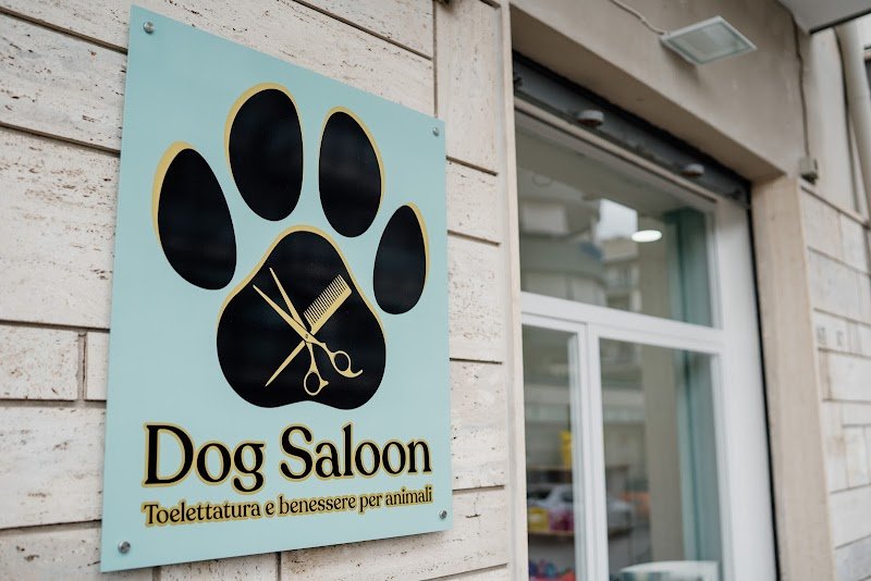 Dog saloon Bisceglie - Foto 4