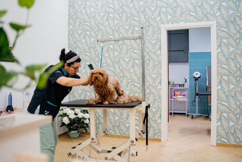 Dog saloon Bisceglie - Foto 1