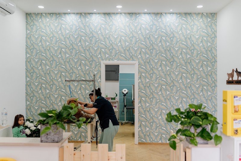 Dog saloon Bisceglie - Foto 2