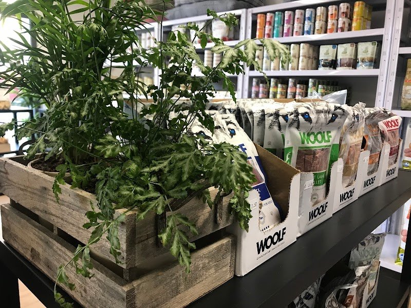 DOG SAPIENS pet store e toelettatura - Foto 2