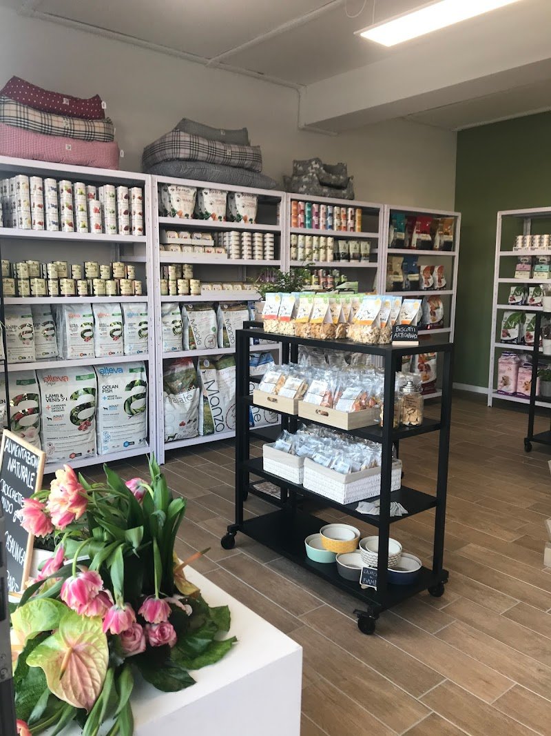 DOG SAPIENS pet store e toelettatura - Foto 3