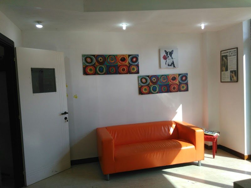 Dog Service di Pamela Murzilli - Foto 5