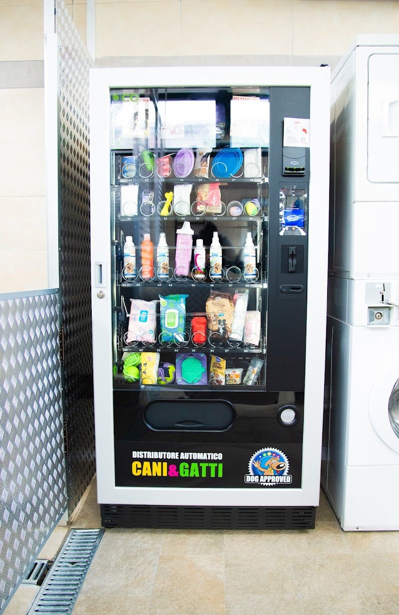 Dog Shower Point - Foto 2