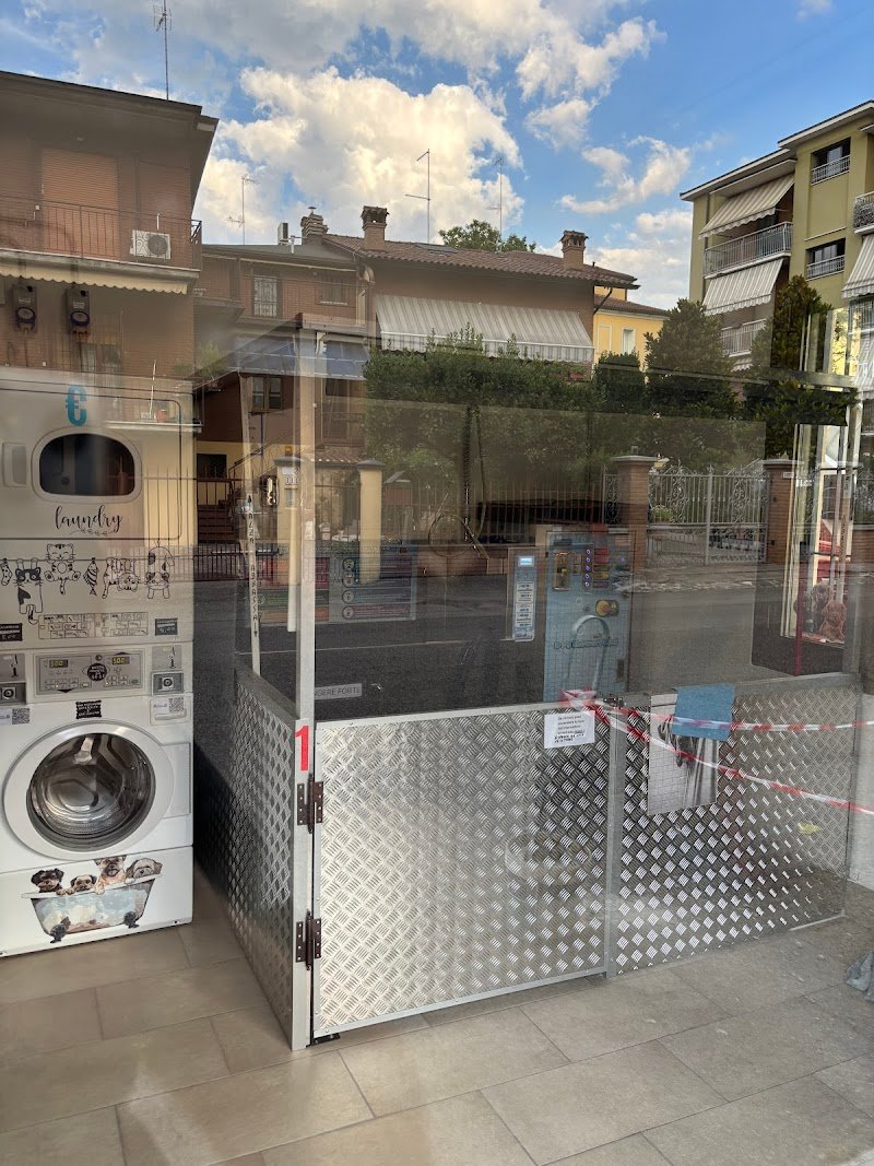 Dog Shower Point - Foto 5