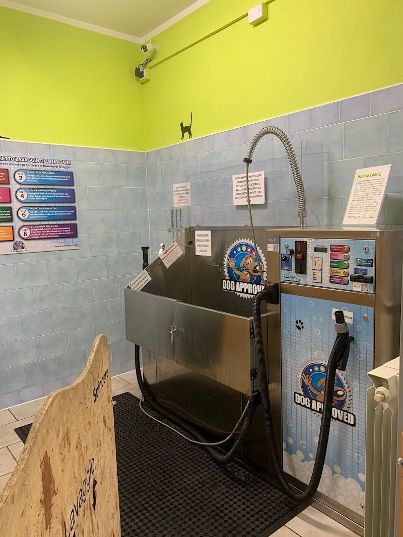 Dog Shower Point - Foto 2