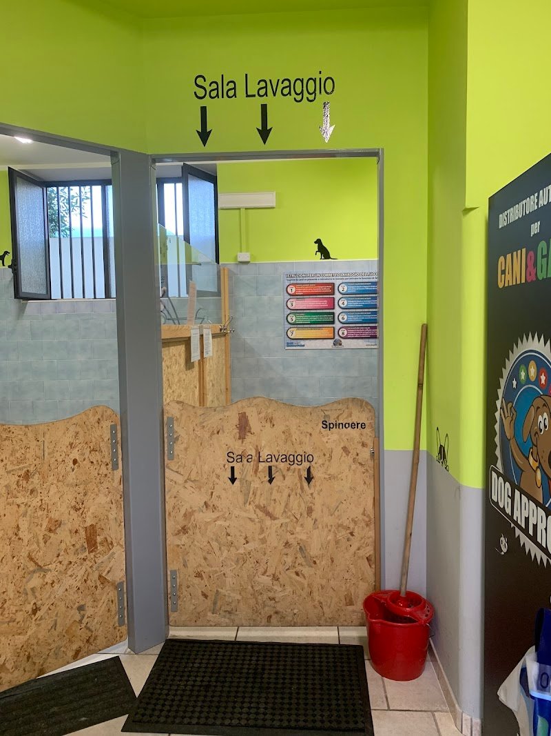 Dog Shower Point - Foto 3