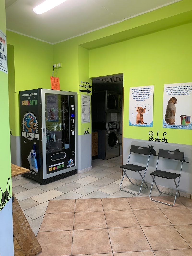 Dog Shower Point - Foto 4