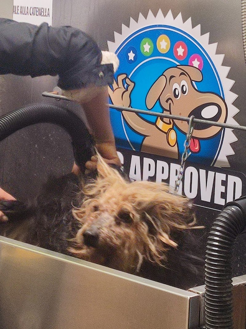 Dog Shower Point - Foto 5