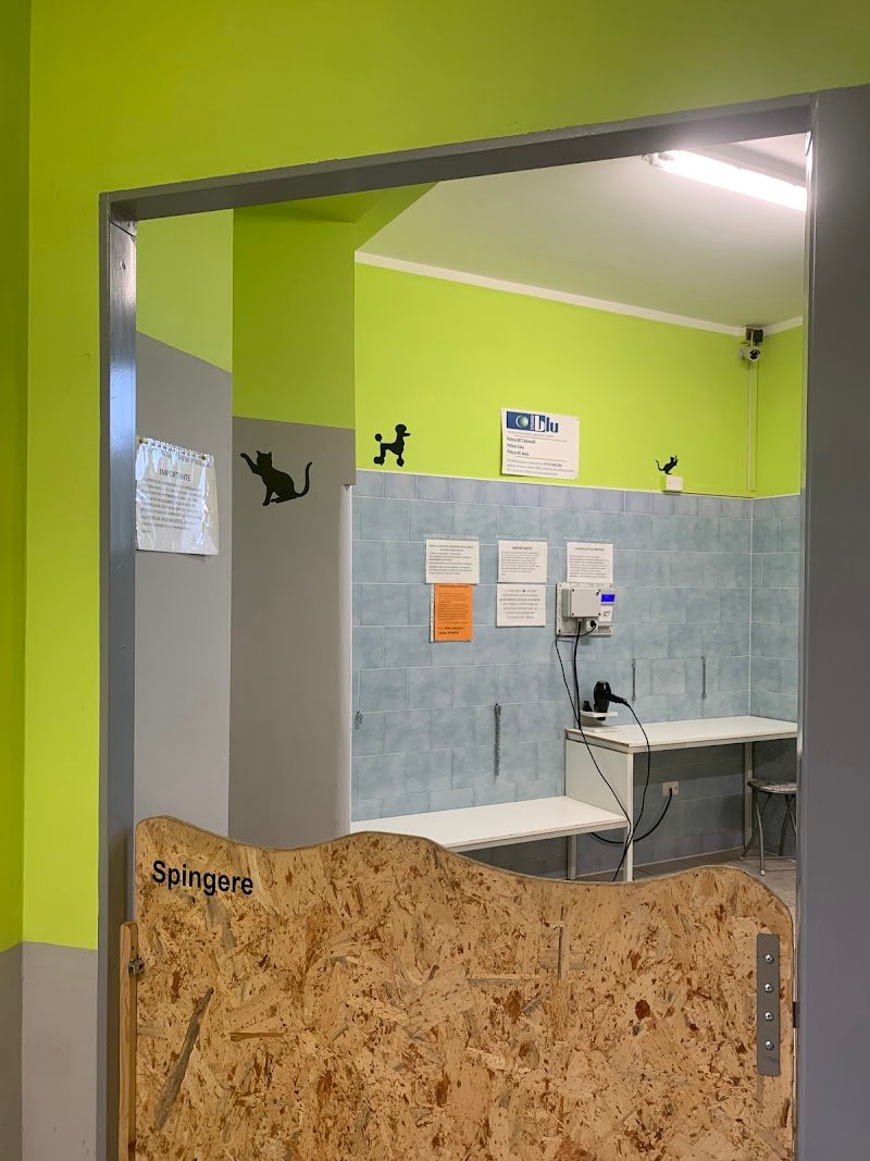 Dog Shower Point - Foto 6