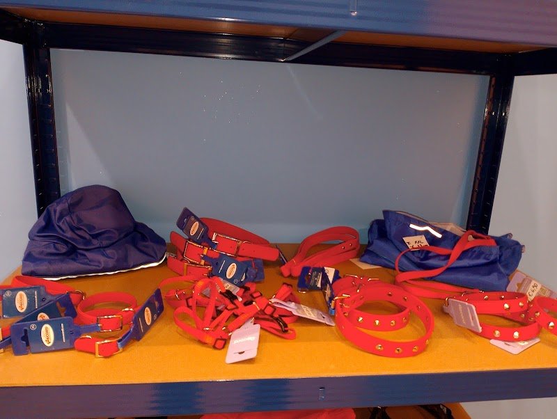 DOG STAR by freshdog - Foto 2