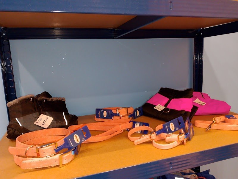 DOG STAR by freshdog - Foto 6