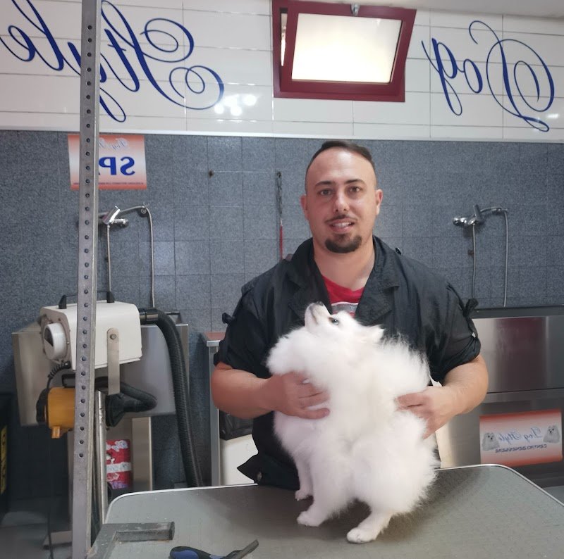 Dog Style Centro Benessere / Corso di toelettatura Sicilia - Foto 4