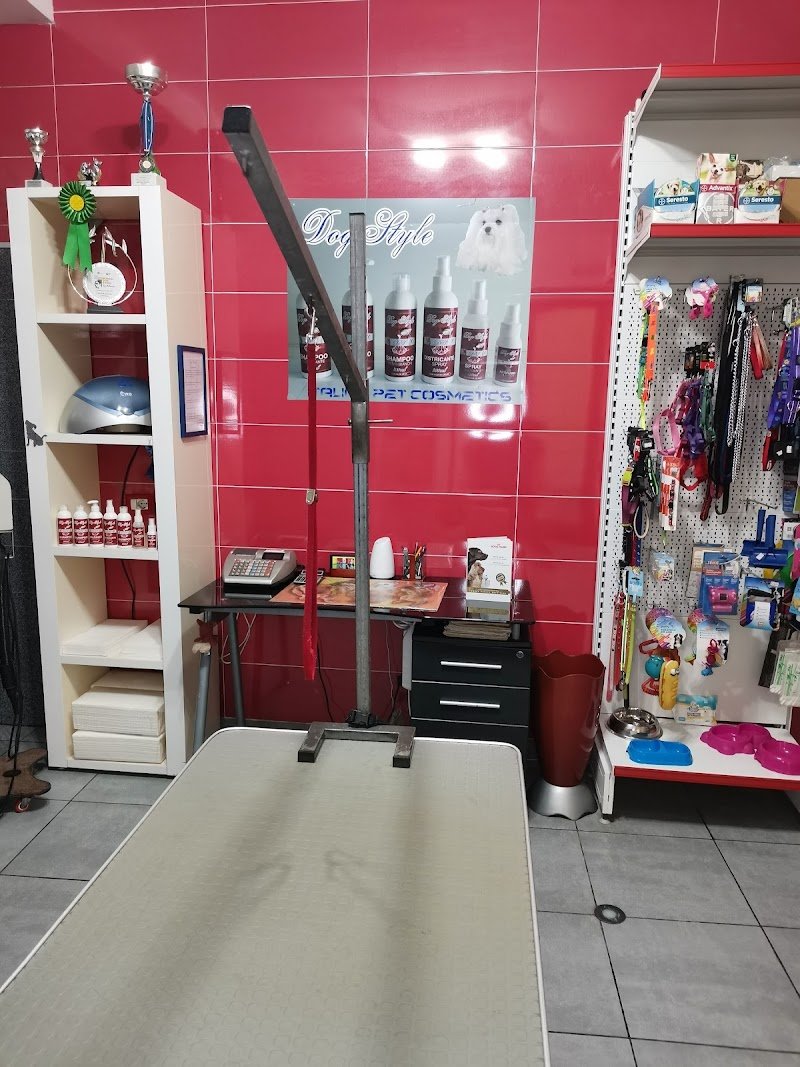 Dog Style Centro Benessere / Corso di toelettatura Sicilia - Foto 6