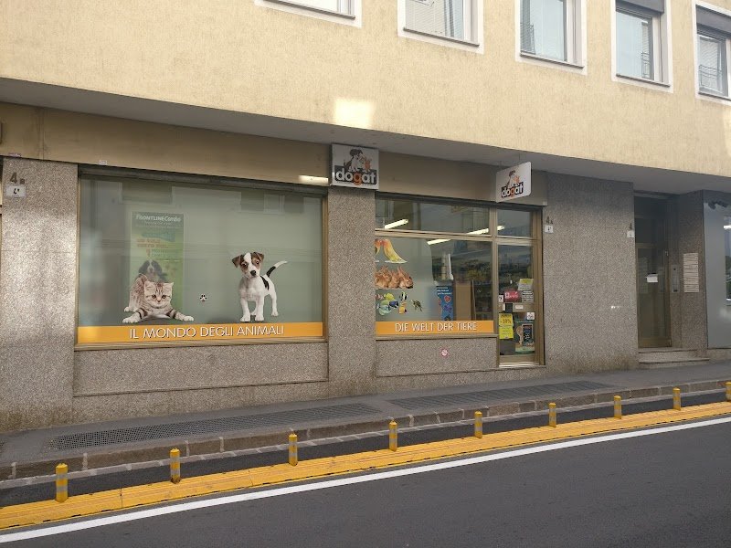 Dogat Twenty - Foto 5