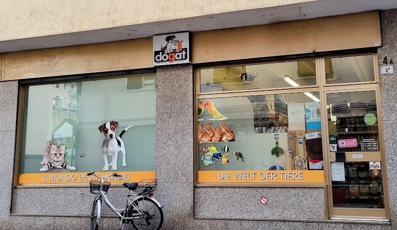 Dogat Twenty - Foto 1