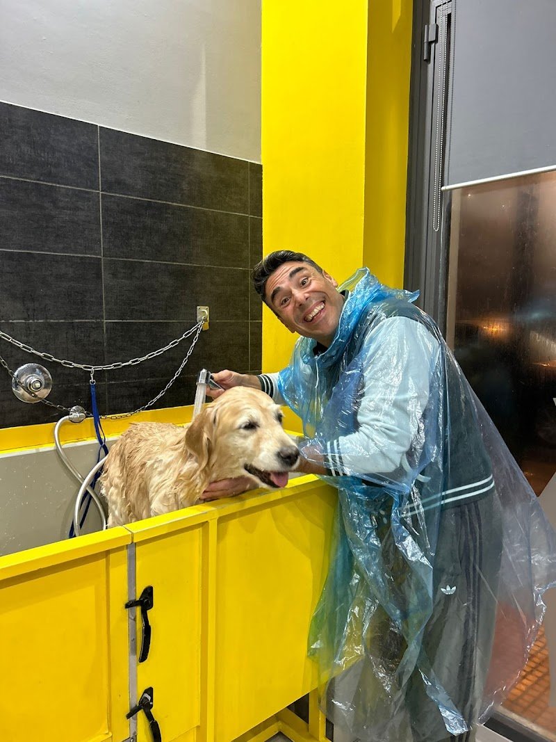 DOGGY SELF Toelettatura e Lavaggio Cani Self - Foto 1