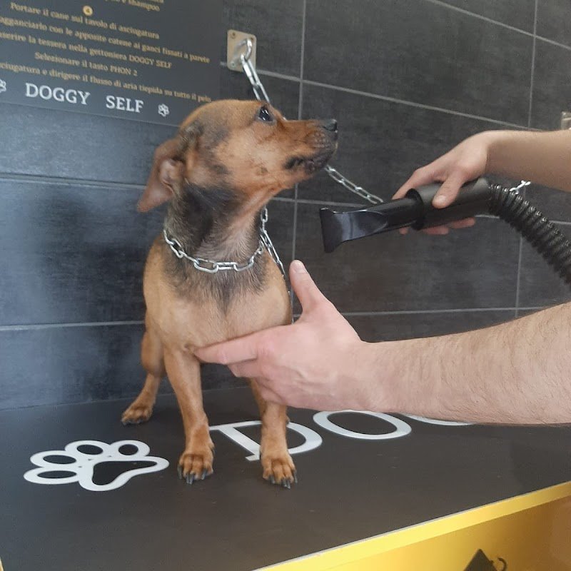 DOGGY SELF Toelettatura e Lavaggio Cani Self - Foto 2