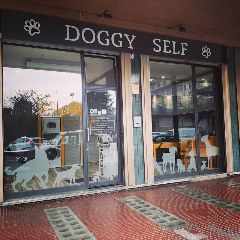 DOGGY SELF Toelettatura e Lavaggio Cani Self - Foto 5