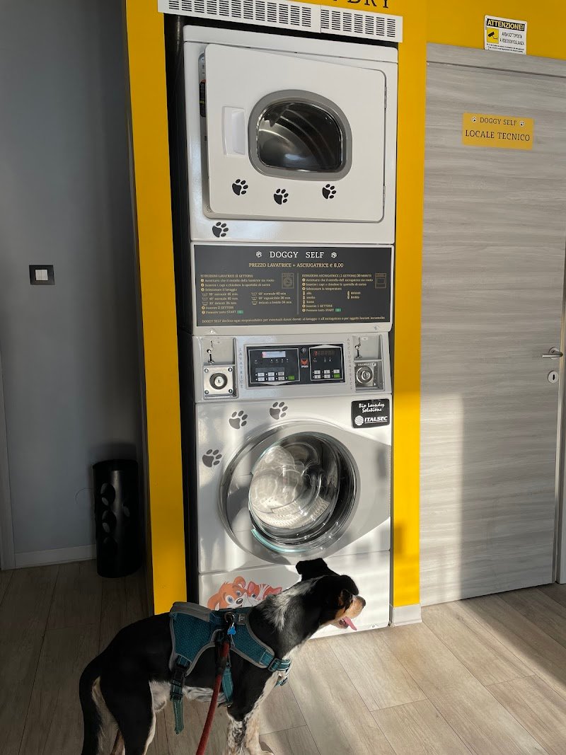 DOGGY SELF Toelettatura e Lavaggio Cani Self - Foto 6