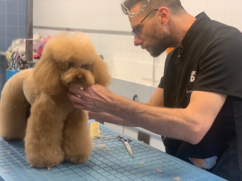 Doggy Style di Massimo Alberani - Foto 1