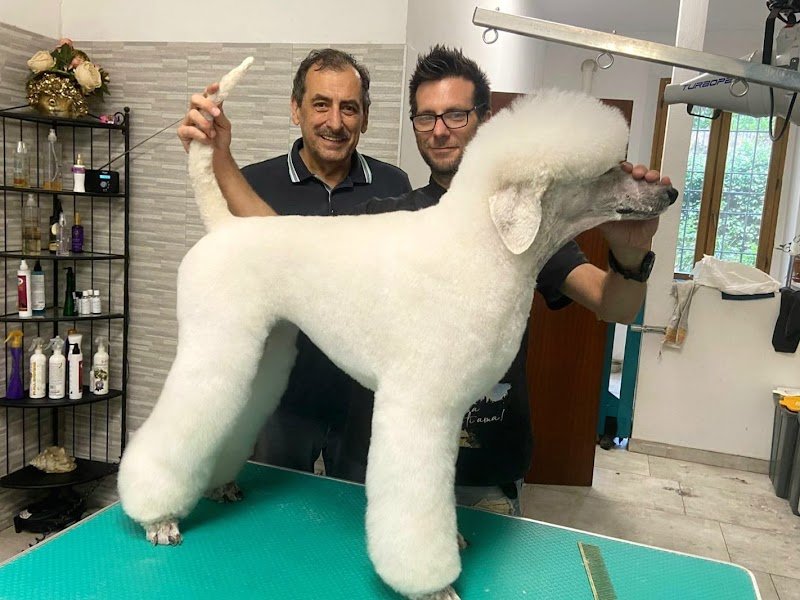 Doggy Style di Massimo Alberani - Foto 2