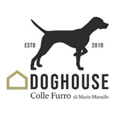 Doghouse Pensione per Cani Parco Giochi per Cani Area Cani - Foto 1