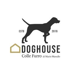 Doghouse Pensione per Cani Parco Giochi per Cani Area Cani - Foto 2