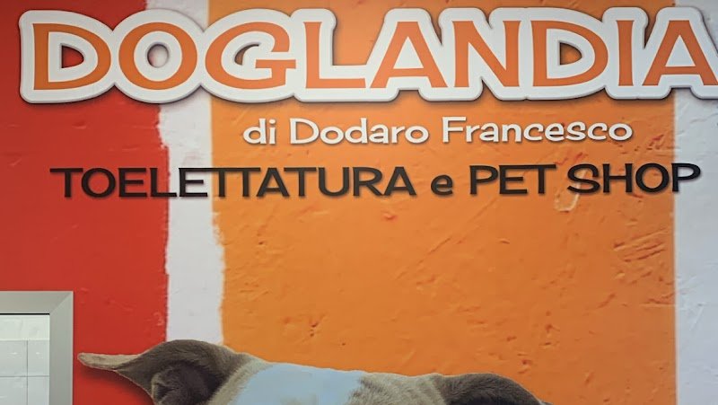 Doglandia - Foto 1