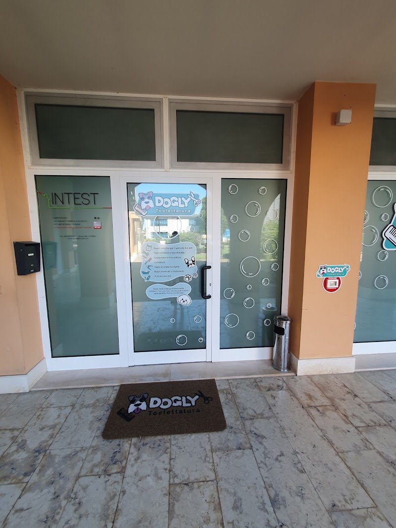 Dogly toelettatura - Foto 6