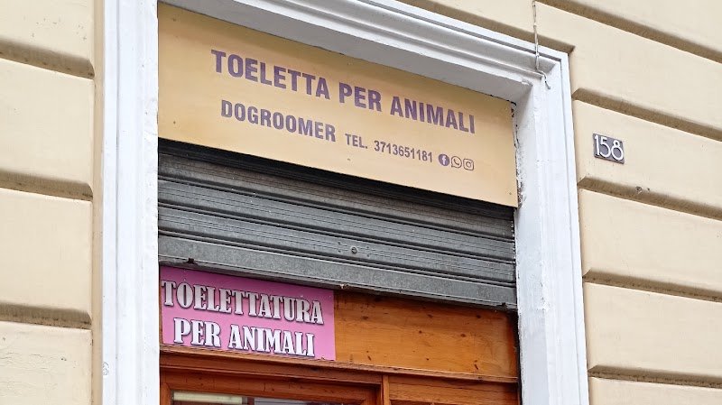 DoGroomer Toeletta per cani - Foto 1