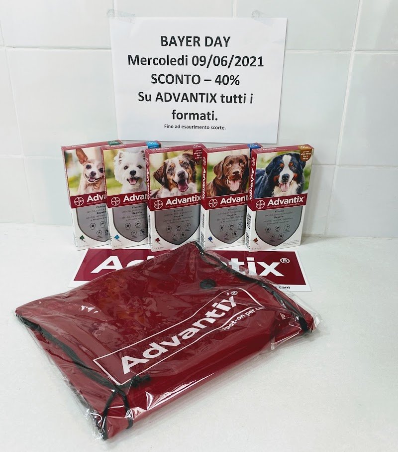 Dog'S House - Foto 2