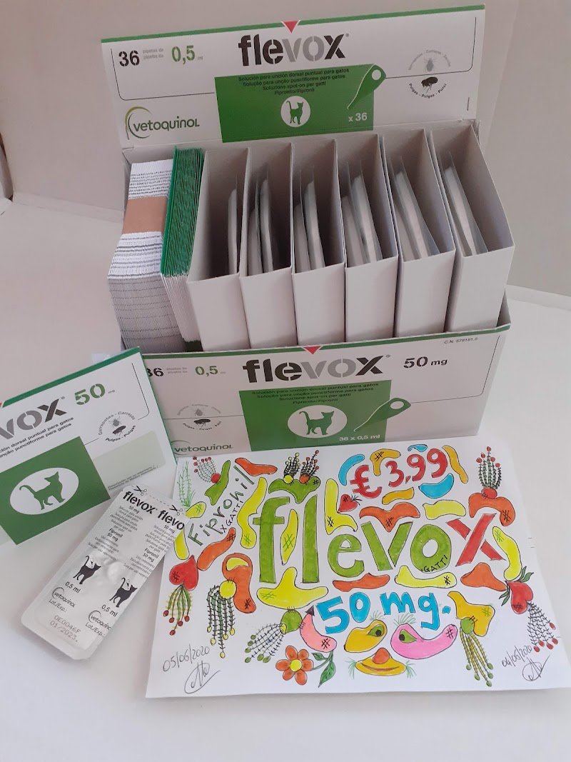 Dog'S House - Foto 6