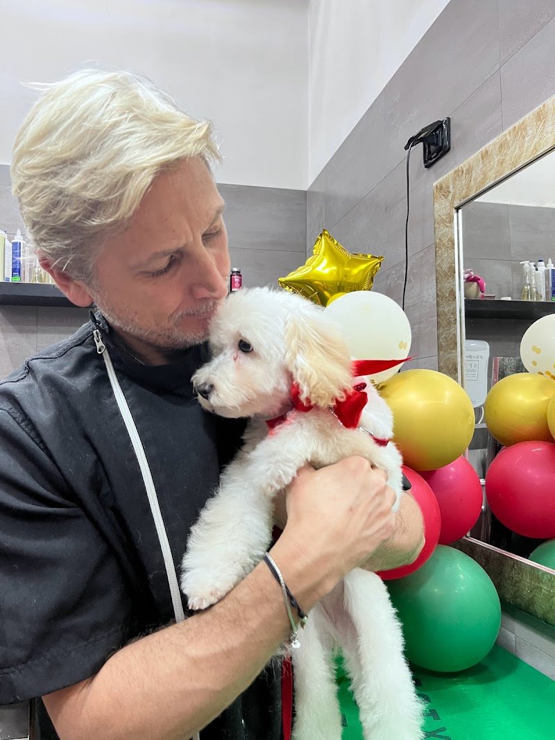 Dogs in the city - Foto 3